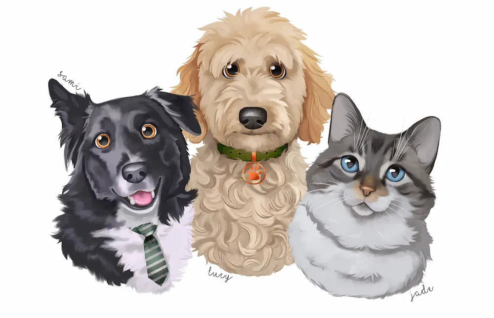 Pet Portraits